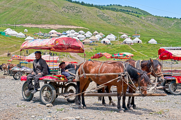 Horse-pulled wagon, West White Poplar Gully (Xinjiang)