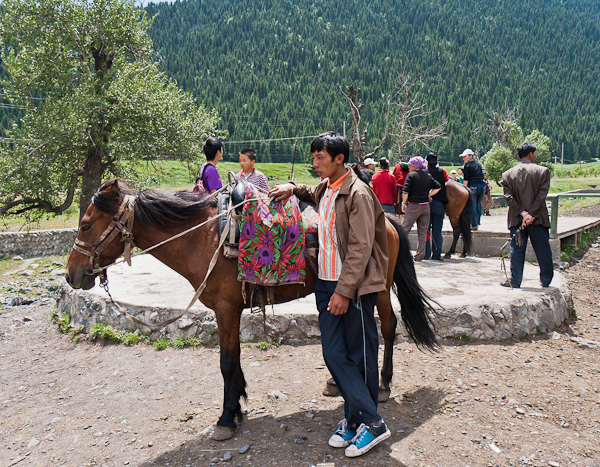 Horse rides (West White Poplar Gully, Xinjiang)