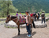 070701-2012 Horse rides (West White Poplar Gully, Xinjiang)