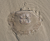 110905-1876 Moon Jellyfish on the sandy beach (Florida)