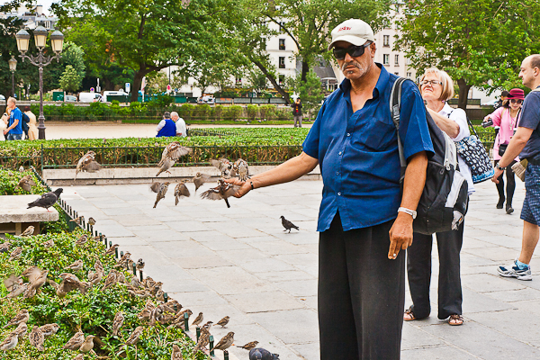 Man feeding sparrows in front of Notre Dame Cathedral