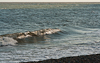 120922-4299 Waves breaking on Walberswick beach (Suffolk)