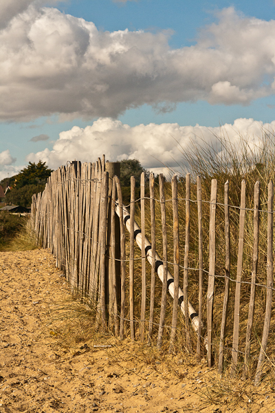 Fence on the dunes at Walberswick (Suffolk)