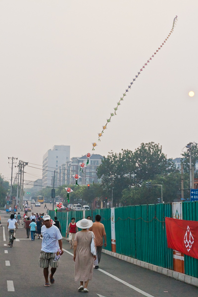 A train of kites in Beijing