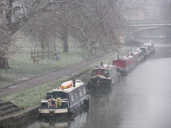Narrowboats on the River Cam