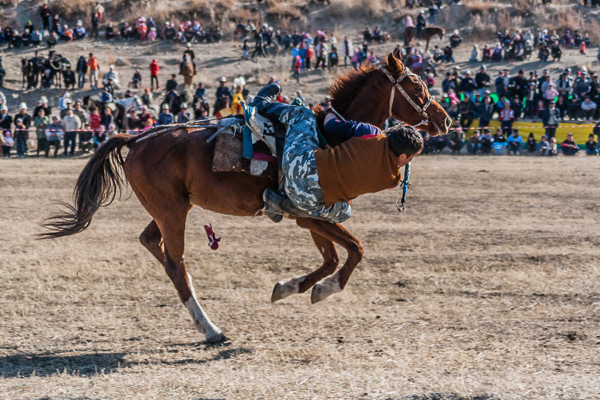 Kyrgyz rider snatching coins from the ground