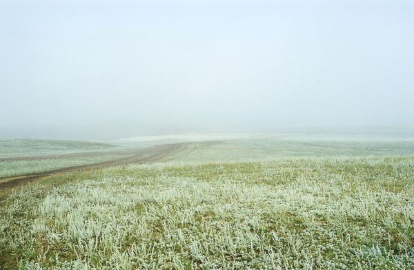Morning mist on the Artemisia steppe in Northern Kazakhstan. 
