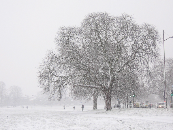 Snowy morning on Midsummer Common, Cambridge