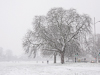 070208-2292 Snowy morning on Midsummer Common, Cambridge