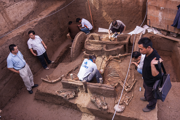 A Late Shang dynasty chariot burial at Anyang (Henan)