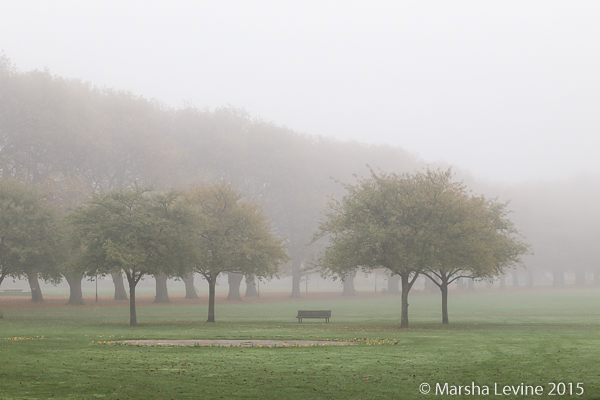 A foggy morning on Jesus Green, Cambridge