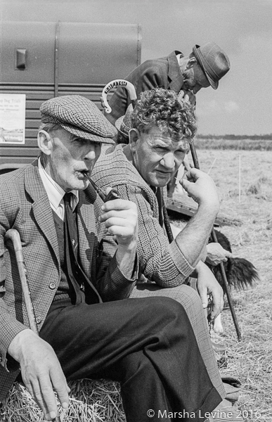 Sheepdog trials in Duxford, Cambridgeshire (1978)
