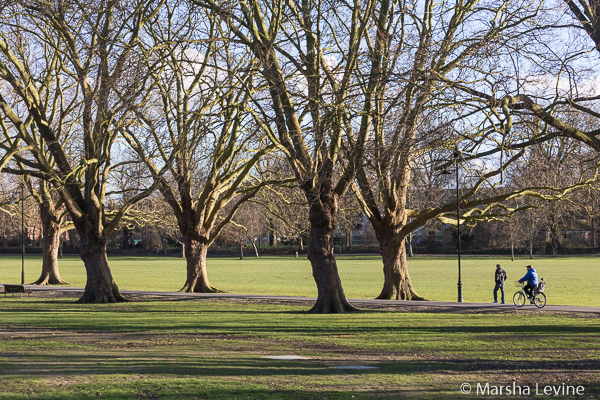 Walker and cyclist on Jesus Green, Cambridge