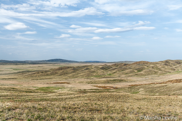 Steppe landscape, central Kazakhstan